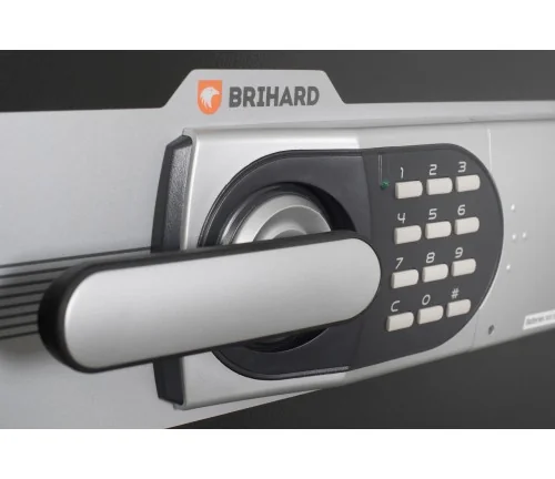 BRIHARD FIRE F87E